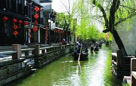 让顺昌杉木成为文化符号